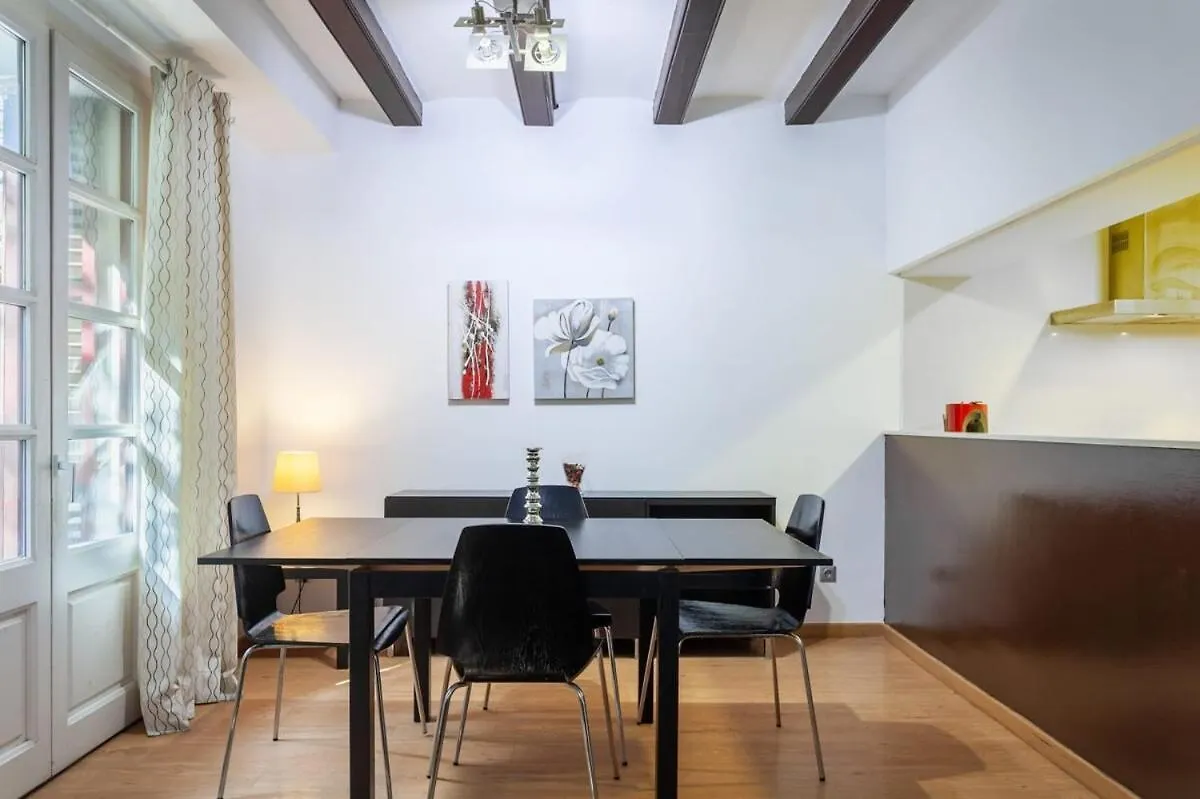 Stylish And Comfortable Apartment Barcelona